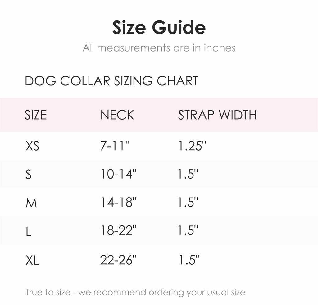 Dog Collar ~ Sadie Grace