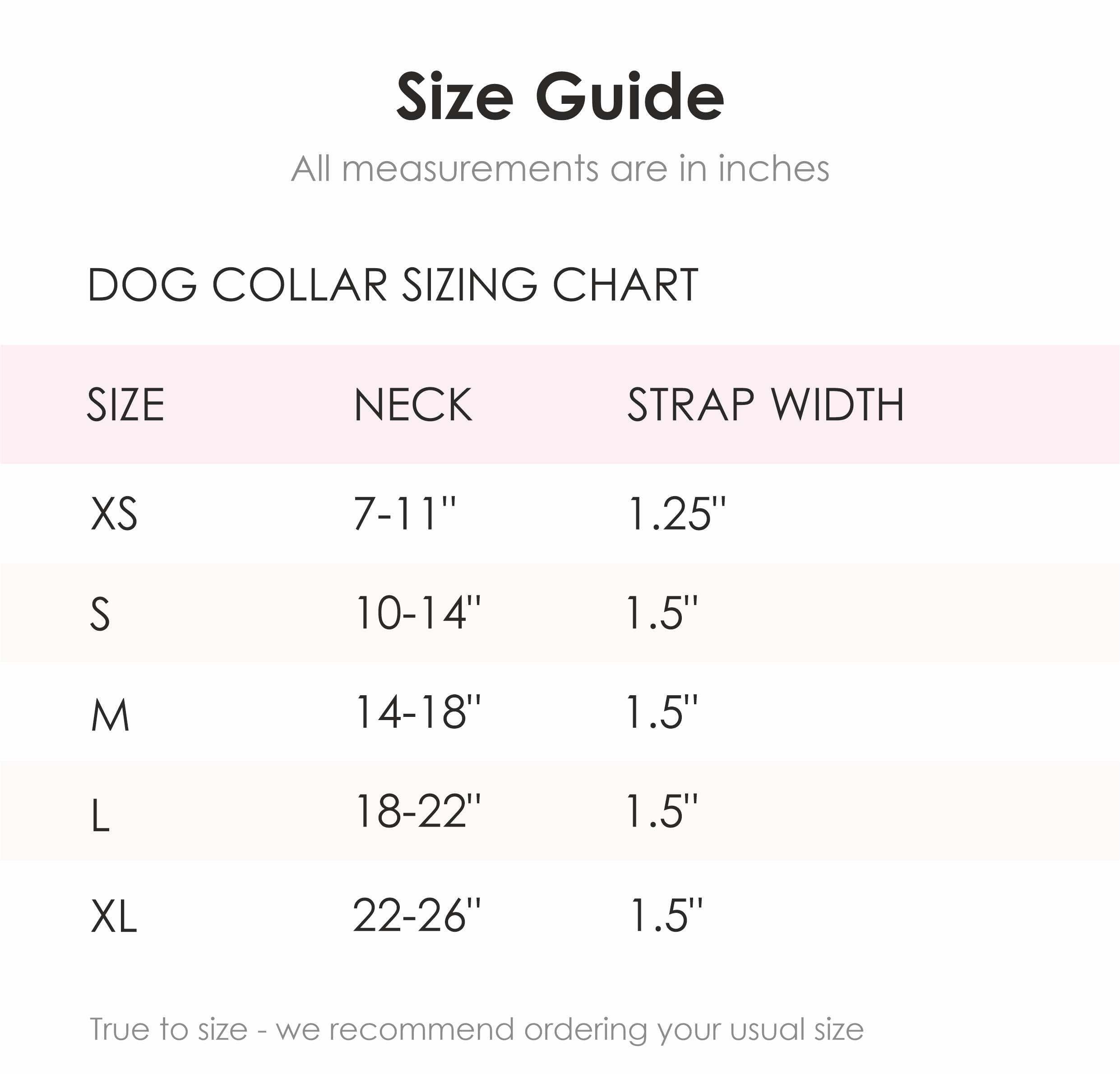 Dog Collar ~ Sadie Grace