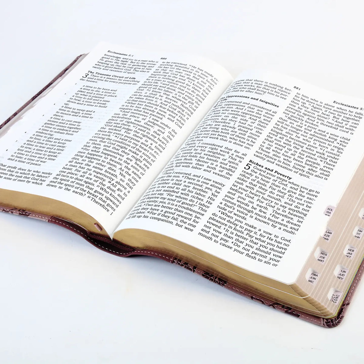 Bible ~ Rooted in Truth