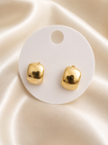 Golden Glow Stud Earrings